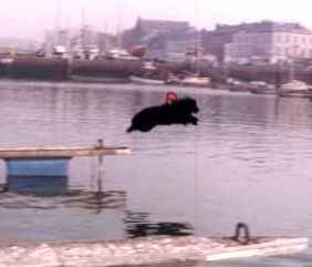 Saut de Pin-Up